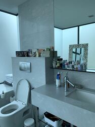 Waterfall Gardens (D10), Condominium #397535321